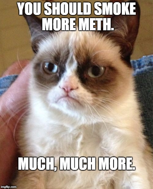 You look tired. | YOU SHOULD SMOKE MORE METH. MUCH, MUCH MORE. | image tagged in grumpy cat,meth | made w/ Imgflip meme maker