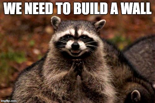 Evil Plotting Raccoon | WE NEED TO BUILD A WALL | image tagged in memes,evil plotting raccoon | made w/ Imgflip meme maker
