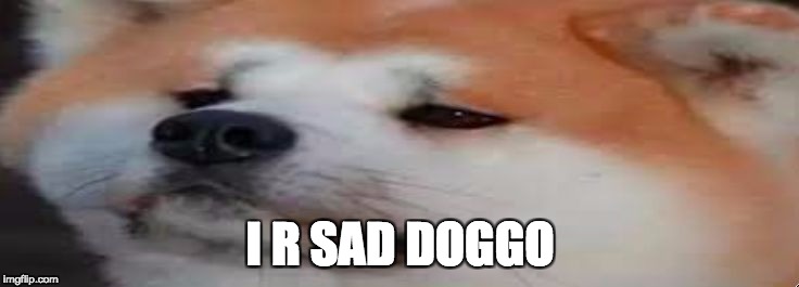 I R SAD DOGGO | image tagged in sad doggo | made w/ Imgflip meme maker