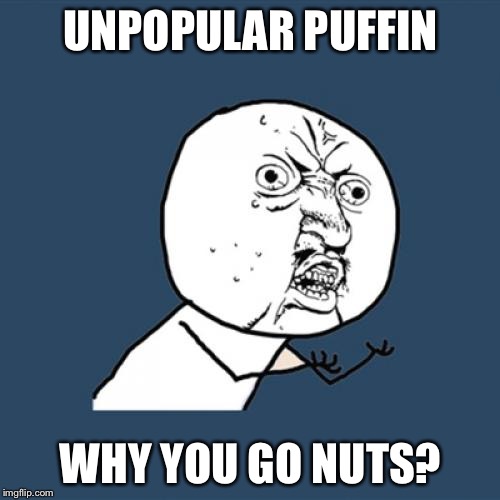 Y U No Meme | UNPOPULAR PUFFIN WHY YOU GO NUTS? | image tagged in memes,y u no | made w/ Imgflip meme maker