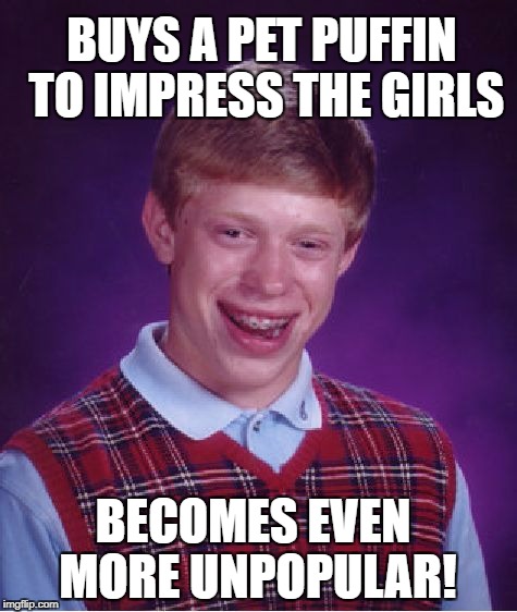 Bad Luck Brian Meme | BUYS A PET PUFFIN TO IMPRESS THE GIRLS; BECOMES EVEN MORE UNPOPULAR! | image tagged in memes,bad luck brian | made w/ Imgflip meme maker