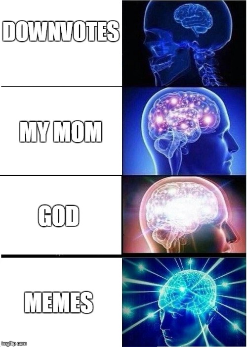 Expanding Brain | DOWNVOTES; MY MOM; GOD; MEMES | image tagged in memes,expanding brain | made w/ Imgflip meme maker