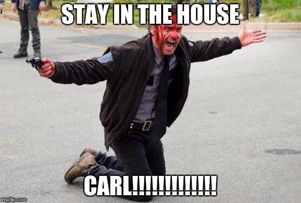 The walking dead | STAY IN THE HOUSE; CARL!!!!!!!!!!!!! | image tagged in the walking dead | made w/ Imgflip meme maker