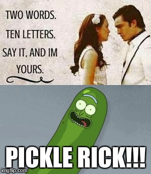 Two words ten letters pickle rick | PICKLE RICK!!! | image tagged in pickle rick | made w/ Imgflip meme maker