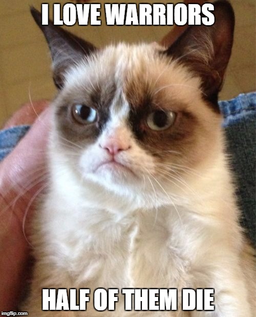 Grumpy Cat | I LOVE WARRIORS; HALF OF THEM DIE | image tagged in memes,grumpy cat | made w/ Imgflip meme maker