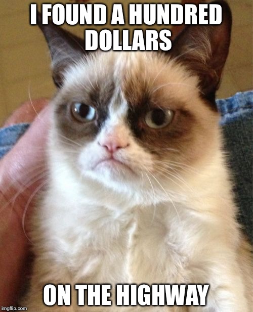 Grumpy Cat | I FOUND A HUNDRED DOLLARS; ON THE HIGHWAY | image tagged in memes,grumpy cat | made w/ Imgflip meme maker