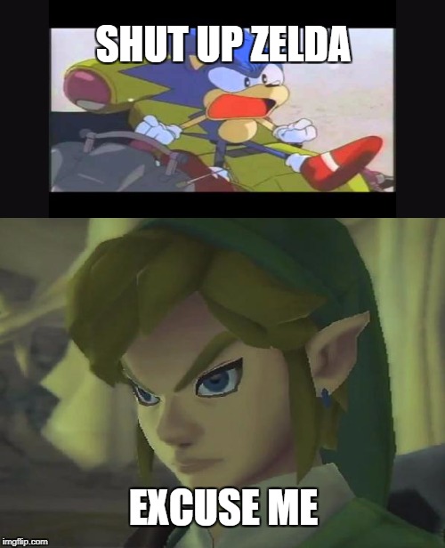 SHUT UP ZELDA; EXCUSE ME | image tagged in sonic,link | made w/ Imgflip meme maker
