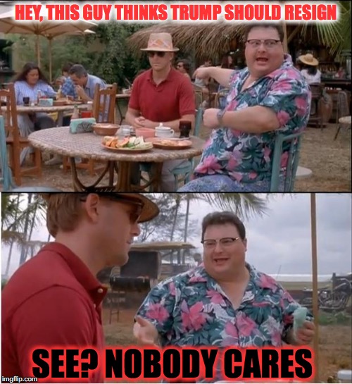 See? | HEY, THIS GUY THINKS TRUMP SHOULD RESIGN; SEE? NOBODY CARES | image tagged in memes,see nobody cares,donald trump | made w/ Imgflip meme maker