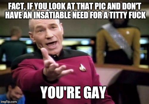 Picard Wtf Meme | FACT, IF YOU LOOK AT THAT PIC AND DON'T HAVE AN INSATIABLE NEED FOR A TITTY F**K YOU'RE GAY | image tagged in memes,picard wtf | made w/ Imgflip meme maker