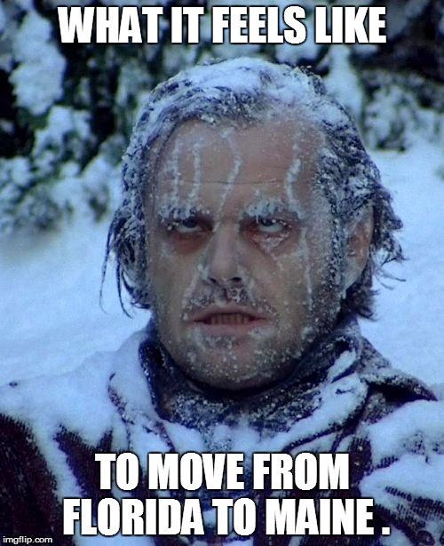true storie | WHAT IT FEELS LIKE; TO MOVE FROM FLORIDA TO MAINE . | image tagged in funny | made w/ Imgflip meme maker