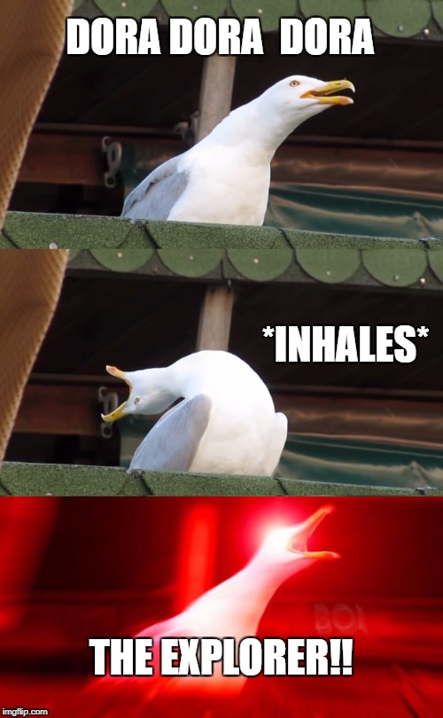 Inhaling seagull | DORA DORA 
DORA; *INHALES*; THE EXPLORER!! | image tagged in inhaling seagull | made w/ Imgflip meme maker