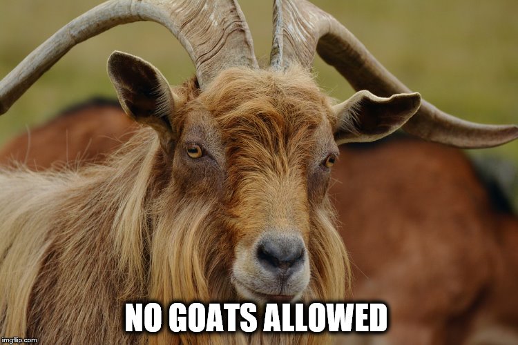 NO GOATS ALLOWED | made w/ Imgflip meme maker