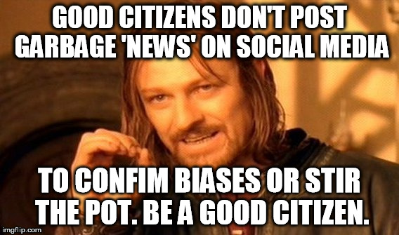 One Does Not Simply | GOOD CITIZENS DON'T POST GARBAGE 'NEWS' ON SOCIAL MEDIA; TO CONFIM BIASES OR STIR THE POT. BE A GOOD CITIZEN. | image tagged in memes,one does not simply | made w/ Imgflip meme maker