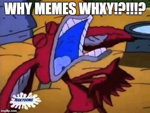 WHY MEMES WHXY!?!!!? | image tagged in why insert noun/word here why | made w/ Imgflip meme maker
