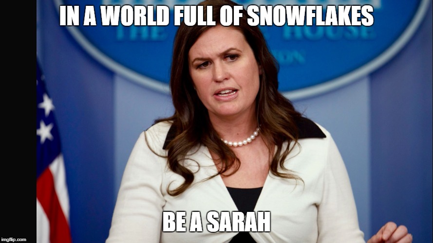 Sarah Sanders  | IN A WORLD FULL OF SNOWFLAKES; BE A SARAH | image tagged in sarah sanders | made w/ Imgflip meme maker