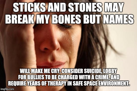 First World Problems Meme | STICKS AND STONES MAY BREAK MY BONES BUT NAMES WILL MAKE ME CRY, CONSIDER SUICIDE, LOBBY FOR BULLIES TO BE CHARGED WITH A CRIME, AND REQUIRE | image tagged in memes,first world problems | made w/ Imgflip meme maker