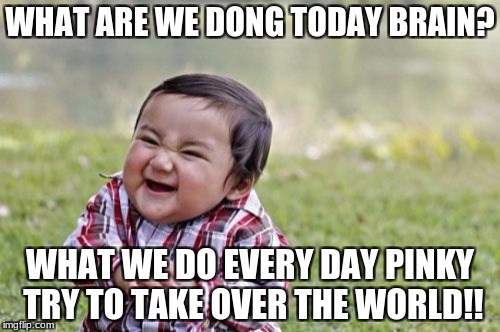 Evil Toddler Meme | WHAT ARE WE DONG TODAY BRAIN? WHAT WE DO EVERY DAY PINKY TRY TO TAKE OVER THE WORLD!! | image tagged in memes,evil toddler | made w/ Imgflip meme maker