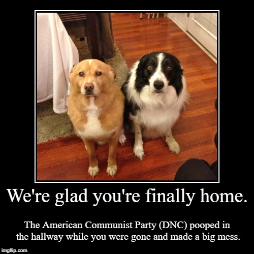 We're glad you're finally home. | image tagged in funny,american communist party,dnc,democrats,pooped in the hallway | made w/ Imgflip demotivational maker
