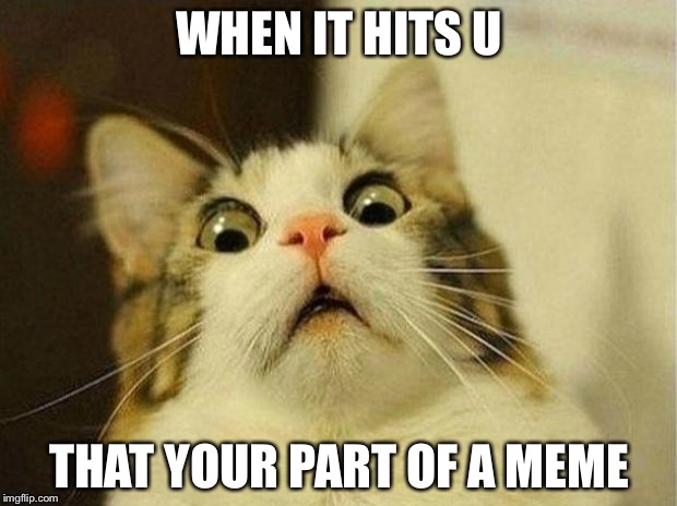 Scared Cat Meme | WHEN IT HITS U; THAT YOUR PART OF A MEME | image tagged in memes,scared cat | made w/ Imgflip meme maker