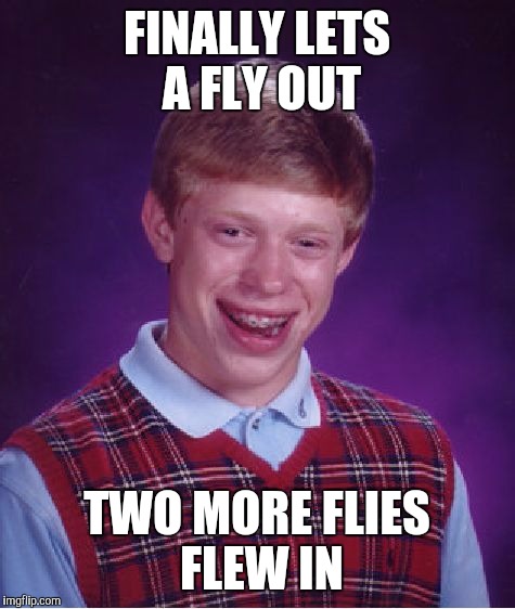 Bad Luck Brian Meme | FINALLY LETS A FLY OUT TWO MORE FLIES FLEW IN | image tagged in memes,bad luck brian | made w/ Imgflip meme maker