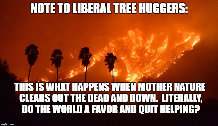 Unintended Consequences | NOTE TO LIBERAL TREE HUGGERS:; THIS IS WHAT HAPPENS WHEN MOTHER NATURE CLEARS OUT THE DEAD AND DOWN.  LITERALLY, DO THE WORLD A FAVOR AND QUIT HELPING? | image tagged in liberals,tree huggers,mother nature | made w/ Imgflip meme maker