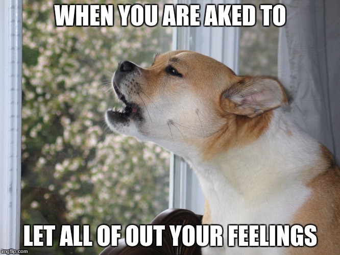 Dog barking | WHEN YOU ARE AKED TO; LET ALL OF OUT YOUR FEELINGS | image tagged in dog barking | made w/ Imgflip meme maker