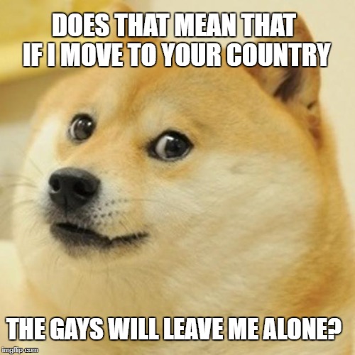 Doge Meme | DOES THAT MEAN THAT IF I MOVE TO YOUR COUNTRY THE GAYS WILL LEAVE ME ALONE? | image tagged in memes,doge | made w/ Imgflip meme maker