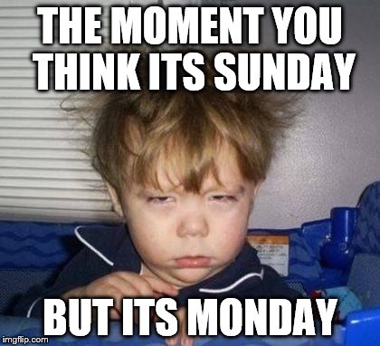 Bed Head Fred | THE MOMENT YOU THINK ITS SUNDAY; BUT ITS MONDAY | image tagged in bed head fred | made w/ Imgflip meme maker