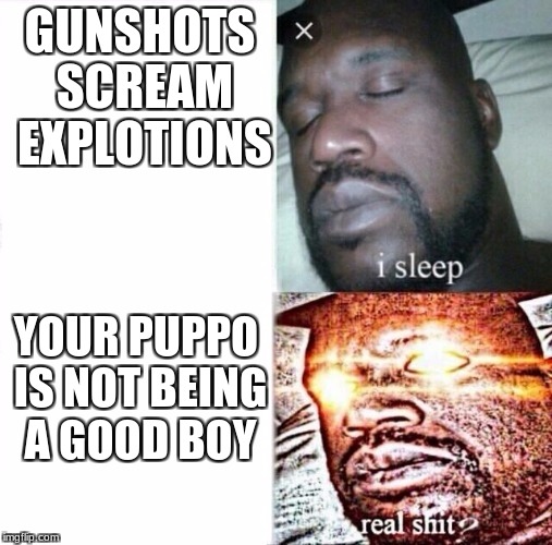 Sleeping Shaq | GUNSHOTS SCREAM EXPLOTIONS; YOUR PUPPO IS NOT BEING A GOOD BOY | image tagged in i sleep,real shit | made w/ Imgflip meme maker