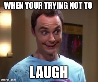 Sheldon Cooper smile | WHEN YOUR TRYING NOT TO; LAUGH | image tagged in sheldon cooper smile | made w/ Imgflip meme maker