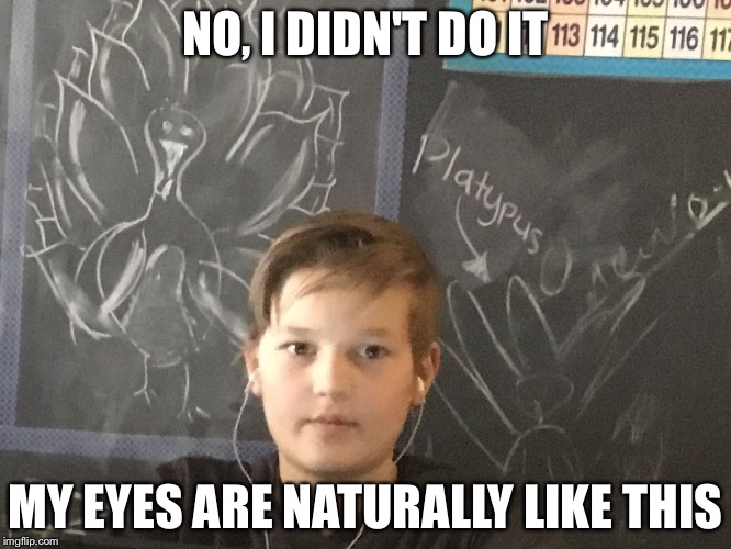 NO, I DIDN'T DO IT; MY EYES ARE NATURALLY LIKE THIS | image tagged in i did it boy | made w/ Imgflip meme maker