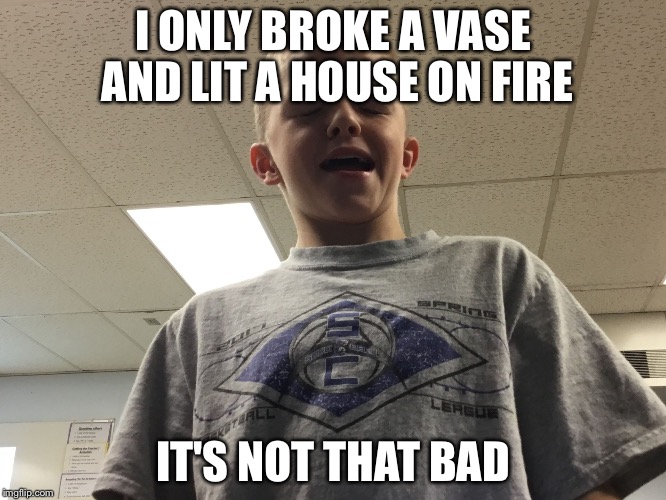 I only boy | I ONLY BROKE A VASE AND LIT A HOUSE ON FIRE; IT'S NOT THAT BAD | image tagged in i guarantee it | made w/ Imgflip meme maker