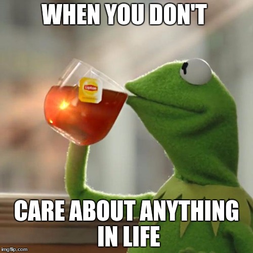 Who cares | WHEN YOU DON'T; CARE ABOUT ANYTHING IN LIFE | image tagged in memes,but thats none of my business,kermit the frog | made w/ Imgflip meme maker