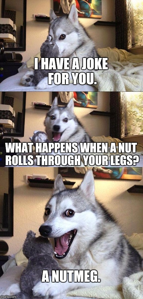 Bad Pun Dog Meme | I HAVE A JOKE FOR YOU. WHAT HAPPENS WHEN A NUT ROLLS THROUGH YOUR LEGS? A NUTMEG. | image tagged in memes,bad pun dog,joke | made w/ Imgflip meme maker