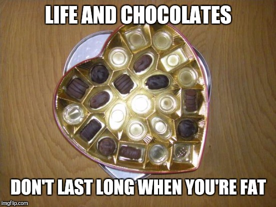 LIFE AND CHOCOLATES DON'T LAST LONG WHEN YOU'RE FAT | made w/ Imgflip meme maker