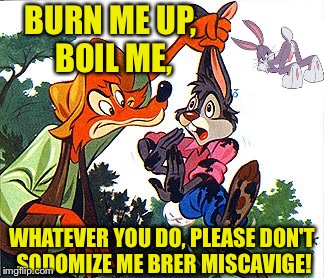 BURN ME UP, BOIL ME, WHATEVER YOU DO, PLEASE DON'T SODOMIZE ME BRER MISCAVIGE! | made w/ Imgflip meme maker