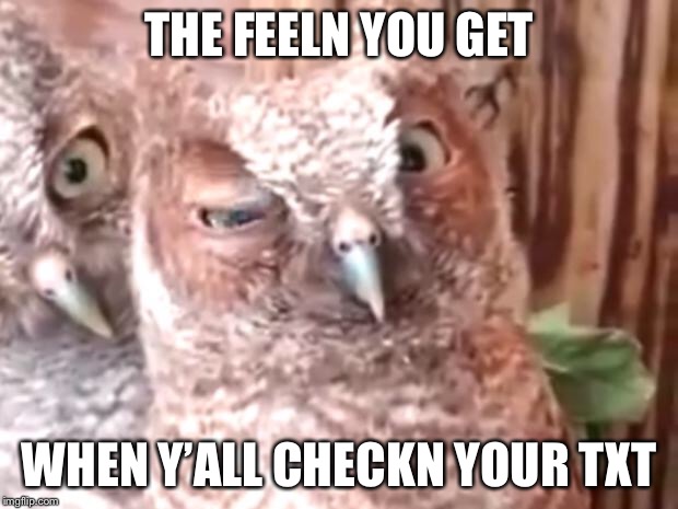 Drunken owl approves | THE FEELN YOU GET; WHEN Y’ALL CHECKN YOUR TXT | image tagged in drunken owl approves | made w/ Imgflip meme maker
