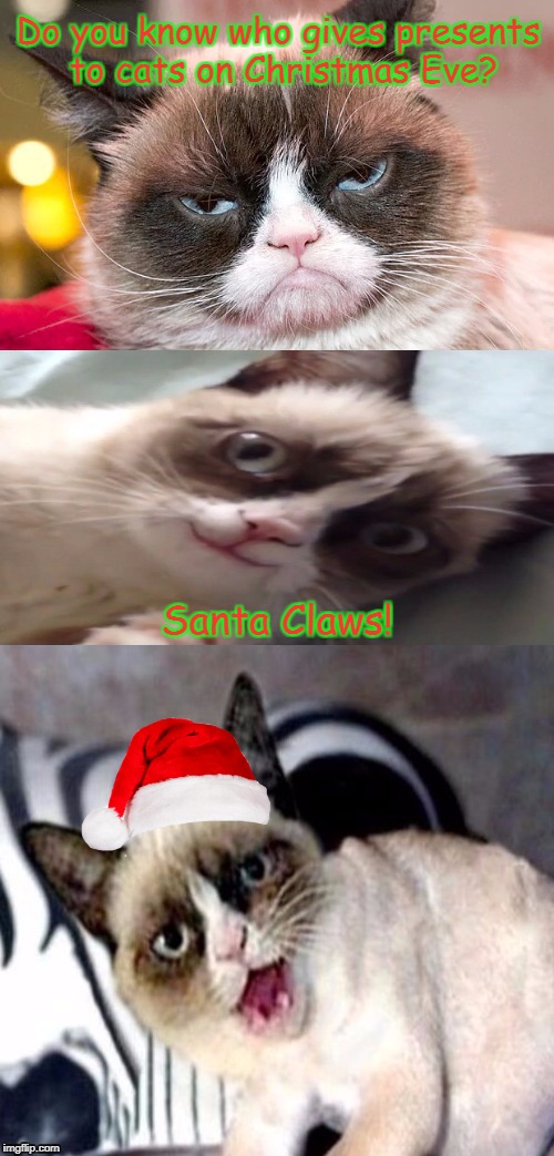 Bad Pun Grumpy Cat | Do you know who gives presents to cats on Christmas Eve? Santa Claws! | image tagged in bad pun grumpy cat,memes,grumpy cat,grumpy cat christmas | made w/ Imgflip meme maker