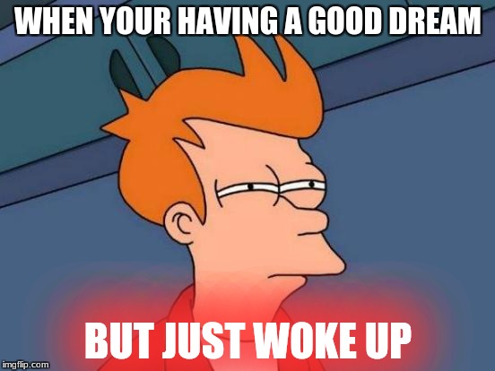 Futurama Fry | WHEN YOUR HAVING A GOOD DREAM; BUT JUST WOKE UP | image tagged in memes,futurama fry | made w/ Imgflip meme maker