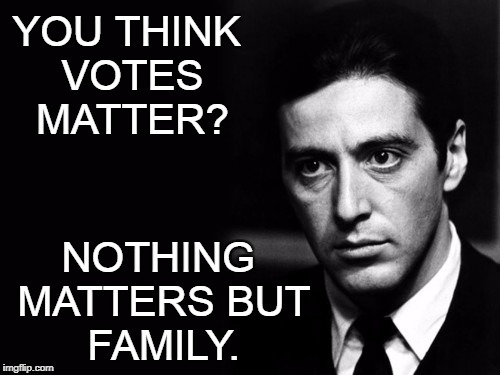 Angry Mikey | YOU THINK VOTES MATTER? NOTHING MATTERS BUT FAMILY. | image tagged in angry mikey | made w/ Imgflip meme maker