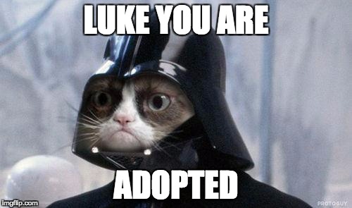 Grumpy Cat Star Wars Meme | LUKE YOU ARE; ADOPTED | image tagged in memes,grumpy cat star wars,grumpy cat | made w/ Imgflip meme maker
