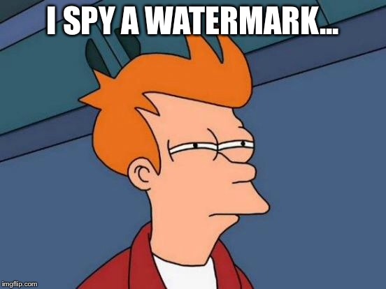 Futurama Fry Meme | I SPY A WATERMARK... | image tagged in memes,futurama fry | made w/ Imgflip meme maker