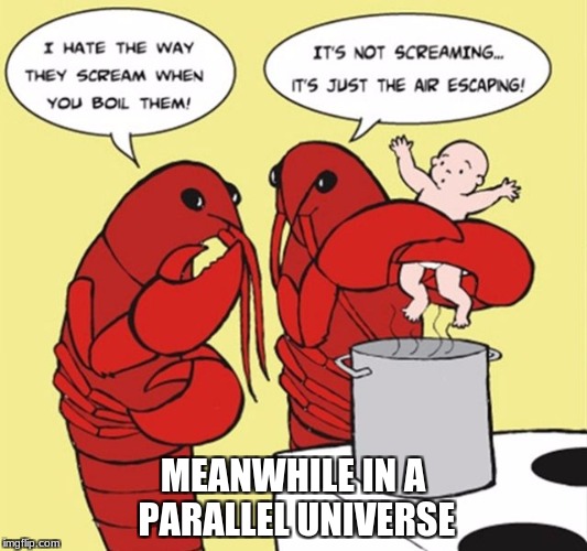 Oh, how the tables have turned! | MEANWHILE IN A PARALLEL UNIVERSE | image tagged in parallel universe,tables have turned | made w/ Imgflip meme maker