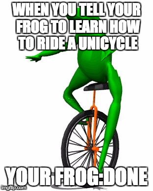 Dat Boi Meme | WHEN YOU TELL YOUR FROG TO LEARN HOW TO RIDE A UNICYCLE; YOUR FROG:DONE | image tagged in memes,dat boi | made w/ Imgflip meme maker