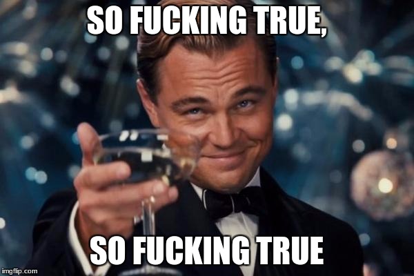 Leonardo Dicaprio Cheers Meme | SO F**KING TRUE, SO F**KING TRUE | image tagged in memes,leonardo dicaprio cheers | made w/ Imgflip meme maker