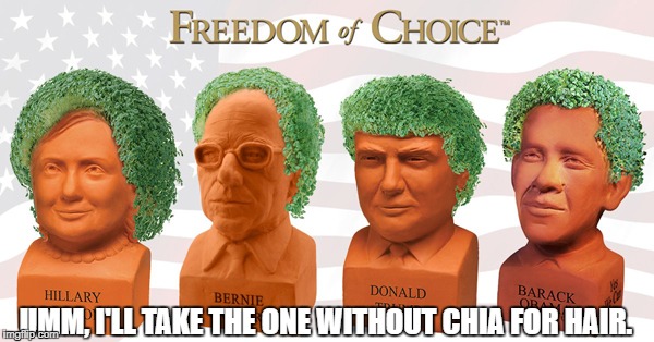 Ch-ch-ch-Chia! | UMM, I'LL TAKE THE ONE WITHOUT CHIA FOR HAIR. | image tagged in memes,funny,presidential race,idiots,choices,donald trump | made w/ Imgflip meme maker