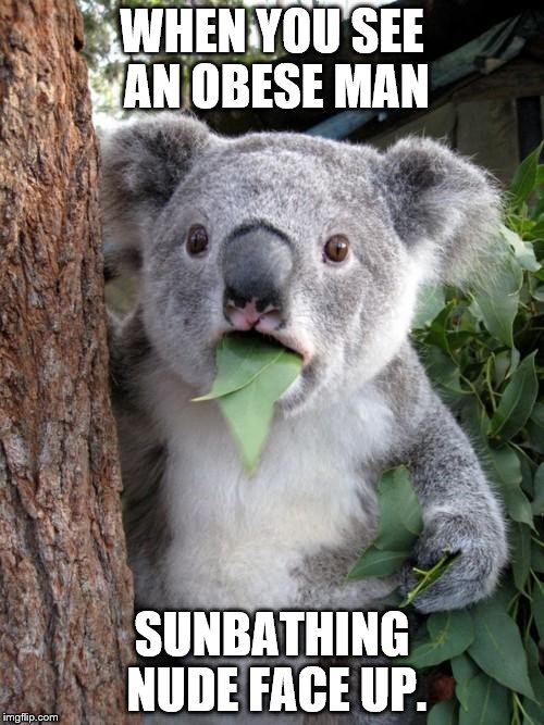 Surprised Koala Meme | WHEN YOU SEE AN OBESE MAN; SUNBATHING NUDE FACE UP. | image tagged in memes,surprised koala | made w/ Imgflip meme maker