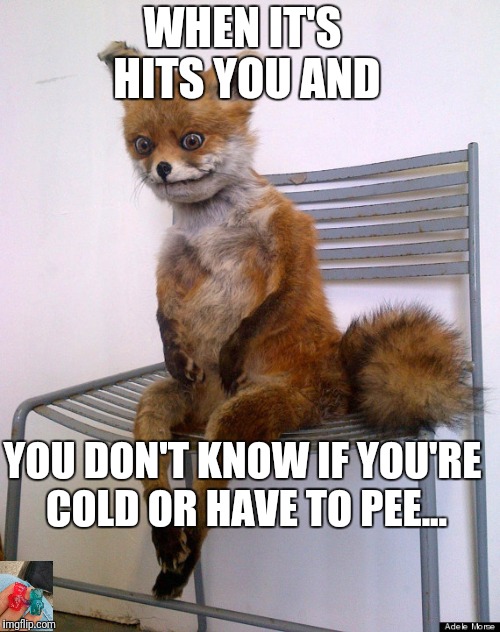 LSD Trip | WHEN IT'S HITS YOU AND; YOU DON'T KNOW IF YOU'RE COLD OR HAVE TO PEE... | image tagged in lsd | made w/ Imgflip meme maker
