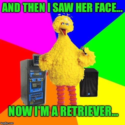 Wrong lyrics karaoke big bird | AND THEN I SAW HER FACE... NOW I'M A RETRIEVER... | image tagged in wrong lyrics karaoke big bird | made w/ Imgflip meme maker