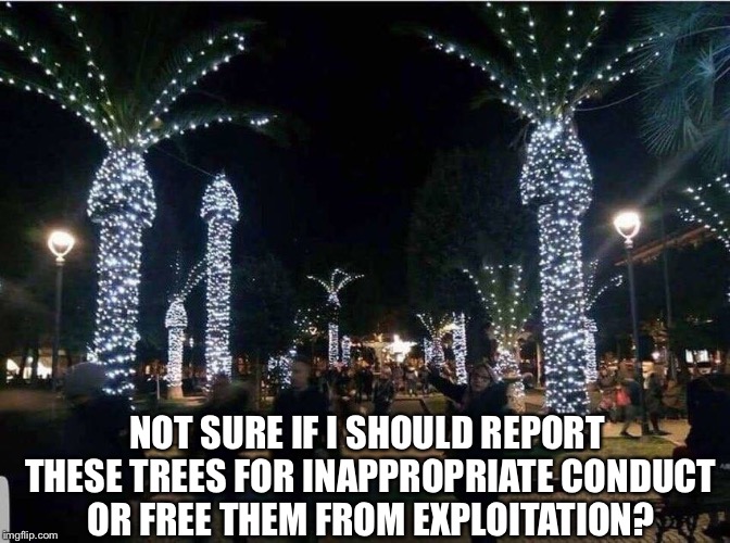 Inappropriate Trees | NOT SURE IF I SHOULD REPORT THESE TREES FOR INAPPROPRIATE CONDUCT OR FREE THEM FROM EXPLOITATION? | image tagged in inappropriate trees,memes,funny | made w/ Imgflip meme maker